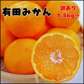 【 訳ありみかん】 有田みかん 訳あり 1.5kg〜 数量限定 1000円ポッキリ 送料無料 みかんミカン 小玉 大玉 蜜柑 お試し 産地直送 和歌山県産 箱込み 5kg 10kg『無くなり次第終了』
