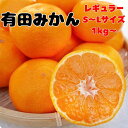 【当店人気No.1】有田みかん S〜Lサイズ 和歌山県産 お試し 家庭用 送料無料 訳あり並みの価格で高品質 甘み・酸味・…