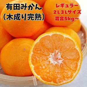 �ؐ��芮�n �L�c�݂��� ��� 2L 3L �T�C�Y���� 5kg�` �������� �󂠂� �a�̎R���Y �Y�n���� �݂��� �~�J�� ����