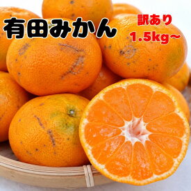 【 訳ありみかん】 有田みかん 訳あり 1.5kg〜 数量限定 1000円ポッキリ 送料無料 みかんミカン 小玉 大玉 蜜柑 お試し 産地直送 和歌山県産 箱込み 5kg 10kg『無くなり次第終了』