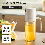 【MAX90%OFFクーポン！19日20時〜】オイルスプレー 耐熱ガラス オイルボトル 250ml 極細のミスト 油ポッ…