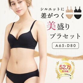 【最大25％OFFクーポン配布】《美盛りシリーズ 》ブラ ブラジャー ショーツセット 上下セット A65-D80 mude