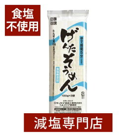 低たんぱく 食塩不使用 げんた そうめん 300g×3セット 腎臓病の方に | 食塩無添加 食塩不使用 無塩食品 減塩 塩分カット 素麺 非常食 保存食 夏ギフト お歳暮 お歳暮ギフト お歳暮プレゼント 低塩