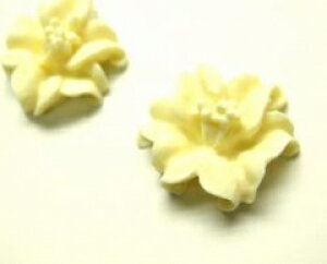 [AC{[[cab-flo-whi-041]yt[J{VEANZT[p[cEr[Yz