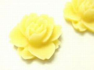 [YAC{[[cab-flo-whi-003]yt[J{VEANZT[p[cEr[Yz