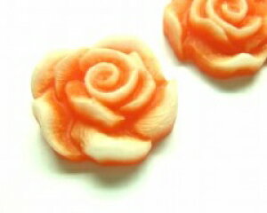 I[v[YIW[cab-flo-yg-023]yt[J{VEANZT[p[cEr[Yz