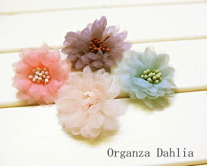 I[KU_A 2[oth-flo-022]