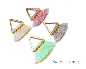 XC[g^bZ 1.0cm gCAO 2 [tas-022]