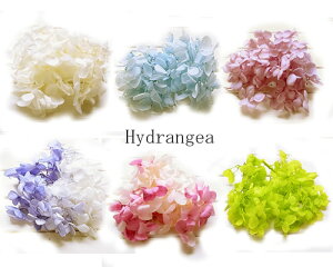 vU[uht[  3g [oth-rf-023]