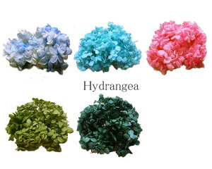 vU[uht[  10g [oth-rf-033]