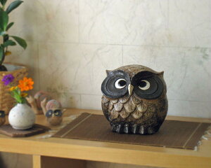My ӂ낤 u  5 tNE  k    ObY G 킢 ̓ hV̓ N v[g Mtg MyĂ Ă(MB100-14G)