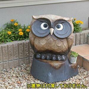 ݌ɐ My t[X^h q ؂芔 18  v^[X^h O  K[fjO  ԑ K[fjO AeB[N |pi [sA `FA MyĂ(MA13