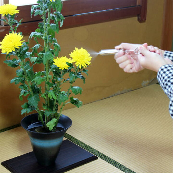 楽天市場】[メール便対応] 生け花 用 霧吹き 小 水揚げ器 水差し 華道  