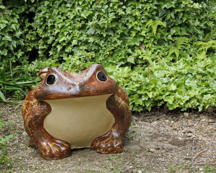 信楽焼 カエル 貯金箱 4号 出目 はにかみ 置物 陶器 かわいい かえる 大きい 蛙 おしゃれ グッズ 玄関 雑貨 庭 巨大 ギフト 信楽焼き 焼き物 やきもの Ma122 07g 夢源陶房 カエル 貯金箱 ａ Maksismt Lv