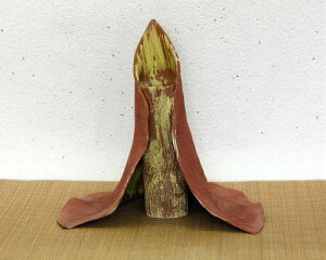 AEgbg My Ԋ  HD  rV  ݌ɐ ݌ɏ a m ؓ  t[x[X ԉԊ ԕr MyĂ Ă ؓ  ₫ y
