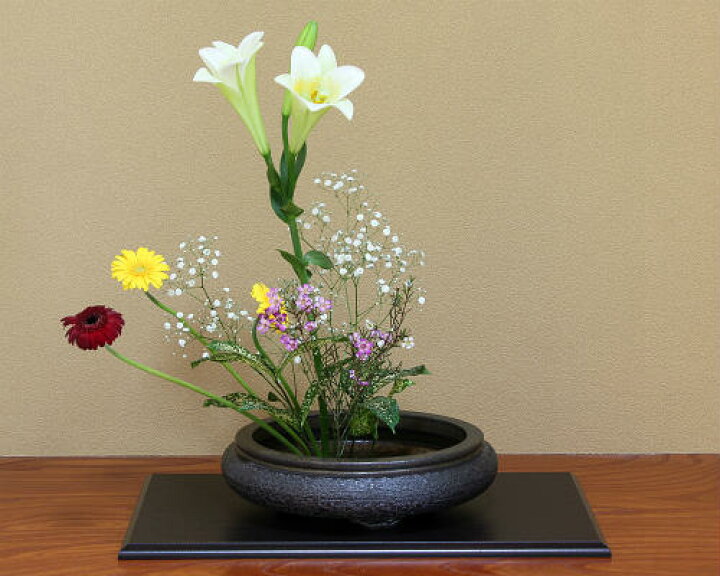 楽天市場】信楽焼 水盤 万年青丸 11号 (gild) 池坊 生け花 和風 洋風 