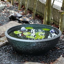 楽天市場】水槽 60cm（植木鉢｜植木鉢・プランター）：ガーデニング 