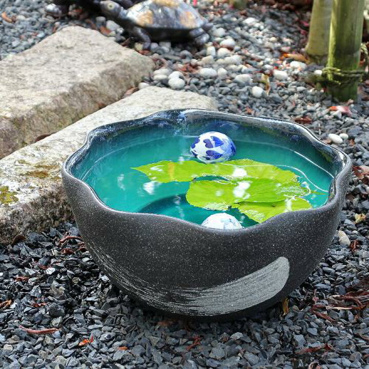 信楽焼 天水鉢 睡蓮鉢 メダカ鉢 直径56㌢【11%OFFクーポン配布中】20号 