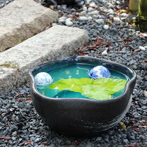 楽天市場】大型 金魚鉢（サイズ（植木鉢）10 ～ 12号）（花・ガーデン 