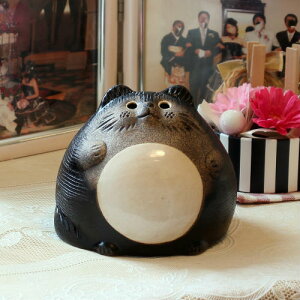 My ʂ ہX  K 3.5 MyĂʂ  K u ^ ObY J^ ^kL  킢 ʂ  ʂu My tanuki Ă(MB076-02G)