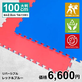 【1枚】ジョイントマット 大判 サイドパーツ付 空手 格闘技 赤/青 100cm×100cm 厚さ2cm 衝撃吸収 防音 抗菌 防臭 EVA ジムマット トレーニング 合気道 テコンドー プレイマット フロアマット ハード MUGEN 洗える キッズ パズルマット クッションマット