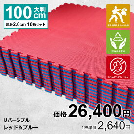 【10枚セット】ジョイントマット 大判 サイドパーツ付 空手 格闘技 赤/青 100cm×100cm 厚さ2cm 衝撃吸収 防音 抗菌 防臭 EVA ジムマット トレーニング 合気道 テコンドー プレイマット フロアマット ハード MUGEN 洗える キッズ パズルマット クッションマット