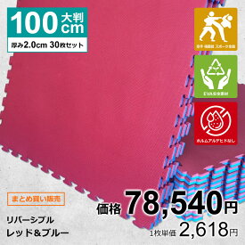 【30枚セット】ジョイントマット 大判 サイドパーツ付 空手 格闘技 赤/青 100cm×100cm 厚さ2cm 衝撃吸収 防音 抗菌 防臭 EVA ジムマット トレーニング 合気道 テコンドー プレイマット フロアマット ハード MUGEN 洗える キッズ パズルマット クッションマット