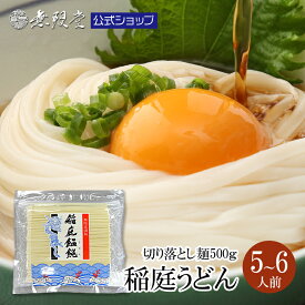 【7/11(金)1:59までP20倍！当店人気No1商品！】稲庭うどん 訳あり お徳用 切り落し麺500g (約5~6人前) メール便 送料無料 無限堂 訳あり 秋田 ふるさと 徳用 家庭用 お取り寄せ 乾麺 防災 ローリングストック 長期保存 買い回り