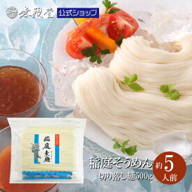 ＼昨年製造在庫分はお値段据え置き！／稲庭そうめん 送料無料メール便 お徳用切れ端麺500g(5人前)|無限堂が贈る稲庭素麺はノンオイルで仕上げた体にも優しい素麺です。|切り落とし ローリングストック 防災 長期保存 チャック袋 乾麺