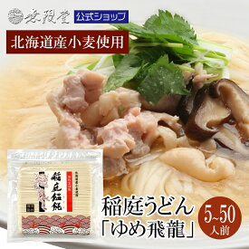 【北海道産小麦100％使用！】稲庭うどん ゆめ飛龍 徳用切れ端麺500g(5〜6人前) メール便 送料無料 無限堂 稲庭うどん 訳あり グルメ お取り寄せ 国産小麦 北海道産 秋田 ふるさと 家庭用 うどん 乾麺 防災 ローリングストック 長期保存