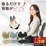 ＼マラソン限定ポイント5倍！／ 【楽天1位獲得！】 姿勢サポートチェア 折りたたみ可能 姿勢矯正 骨盤矯…
