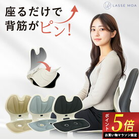 ＼マラソン限定ポイント5倍！／ 【楽天1位獲得！】 姿勢サポートチェア 折りたたみ可能 姿勢矯正 骨盤矯正 椅子 腰痛 姿勢改善 座椅子 腰痛改善 姿勢サポート [LASSE MOA ラッセ・モア]