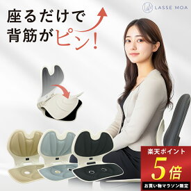 ＼マラソン限定ポイント5倍！／ 【楽天1位獲得！】 姿勢サポートチェア 折りたたみ可能 姿勢矯正 骨盤矯正 椅子 腰痛 姿勢改善 座椅子 腰痛改善 姿勢サポート [LASSE MOA ラッセ・モア]