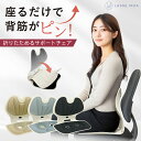 【楽天1位獲得！】 姿勢サポートチェア 折りたたみ可能 姿勢矯正 骨盤矯正 椅子 腰痛 姿勢改善 座椅子 腰痛改善 姿勢…