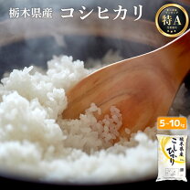 楽天市場】米30kg 栃木県産コシヒカリの通販
