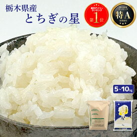 【令和7年産 在庫あり】＼楽天1位／とちぎの星 米 白米 令和7年産 10kg 栃木県産 精米 お米 大粒 甘い 農家 特A最高評価 献上米 ギフト プレゼント 贈答 敬老の日 おすすめ 送料無料 栃木の星