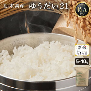 yߘa7NY Vč݌ɂ ׍ρz_yV1ʁ^䂤21 V  ߘa7NY Y21 E_C Iׂ5kg/10kg Ȗ،Y  ꓙ  嗱 Â A~[X _ ] Mtg v[