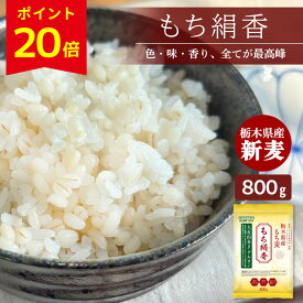 【7/19 20:00から★P20倍！まとめ買いで300円OFF】＼楽天1位／炊き立てが白いもち麦！ もち絹香 800g 新麦 R7年度産 もち麦 栃木県産 1000円ポッキリ お試し 雑穀 麦 国産 食物繊維 ご飯 ダイエット β-グルカン 健康 栄養 血糖値 糖質
