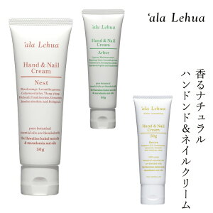 nhN[ I[KjbN AtA nh&lCN[ 50g wzʓT Ki Y XLPA nhPA i` mP~J R lC nC