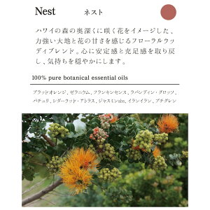 [tOX I[KjbN AtA tOXIC 100ml wzʓT Ki Y i` mP~J R nC  [hfBt[U[