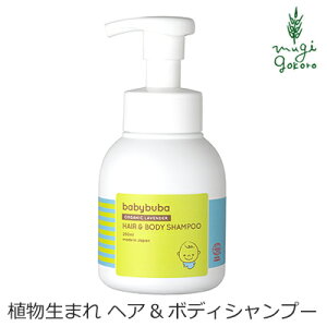 xr[ \[v I[KjbN xr[u[o wA{fBVv[ 250ml wzʓT Y Ki Ԃ xr[  Sg VR i` mP~J {fB\[v