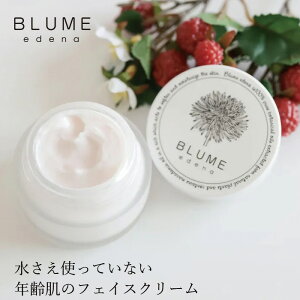 tFCXN[ u[Gfi x[x[ICb`tFCXN[ 40g I[KjbN wzʓT Y Ki XLPA mP~J