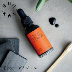 歯磨きジェル オーガニック BUNKAI 竹炭ハミガキジェル 30ml 購入金額別特典あり 無添加 正規品 デンタルケア 健康 歯みがき粉 歯磨き 歯みがき 白い歯 ノンケミカル 歯磨き粉 炭 歯垢除去 ホワイトニング ブンカイ