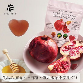 グミ たかくら だいじょうぶなもの 百年はちみつグミ ざくろ味 49g 購入金額別特典あり 保存料 無添加 正規品 ギルトフリー ハチミツ ノンケミカル 百年はちみつ レザーウッドハニー
