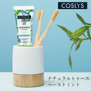  RXX tbVgD[Xy[Xg 100g wzʓT I[KjbN i` B[K R wAPA VR COSLYS ~g