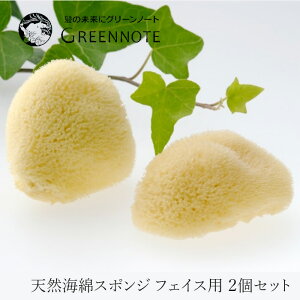 �t�F�C�X�p�X�|���W �O���[���m�[�g �V�R�C�ȃX�|���W �t�F�C�X�p 2�Z�b�g �w�����z�ʓ��T���� ���K�i �ۑ����s�g�p �V�R �i�`������ GREEN NOTE �X�|���W