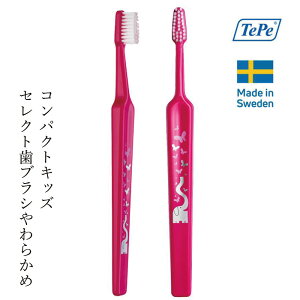 uV TePe KIDSiLbYj RpNg uV \tg uX^[pbN 1{ J[ws wzʓT Ki 炩