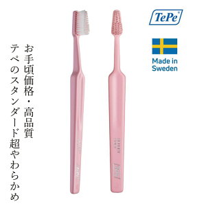 uV TePe ZNg uV GNXg\tg uX^[pbN 1{ J[ws wzʓT Ki 炩