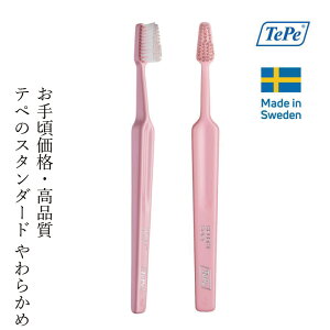 uV TePe ZNg uV \tg uX^[pbN 1{ J[ws wzʓT Ki 炩