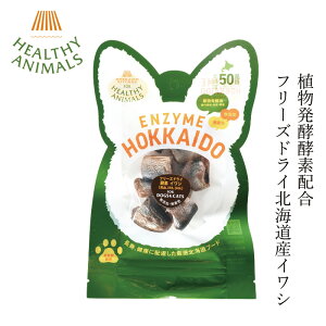 ybgt[h Y wV[Aj}Y kCYCV t[YhCyELpz 15g Y F Ayyf z p Lp wzʓT I[Kjb